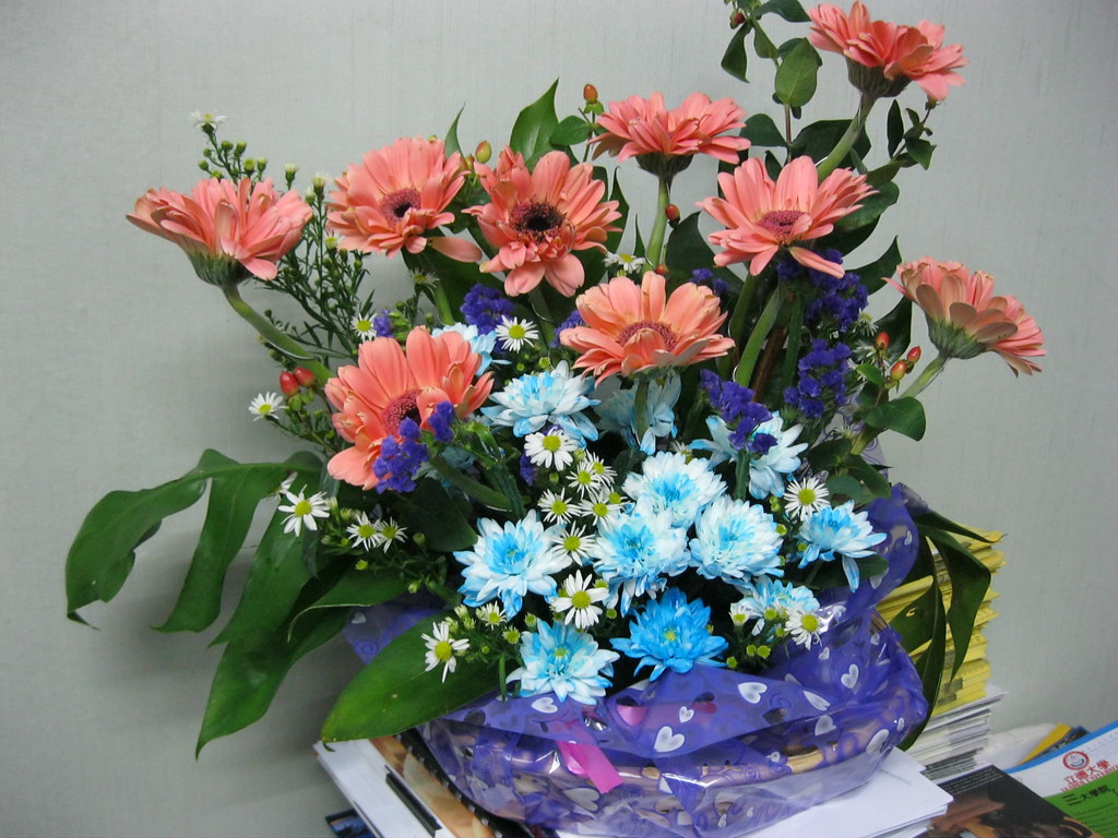 Tips Memilih Toko Bunga Brebes yang Profesional dan Terpercaya