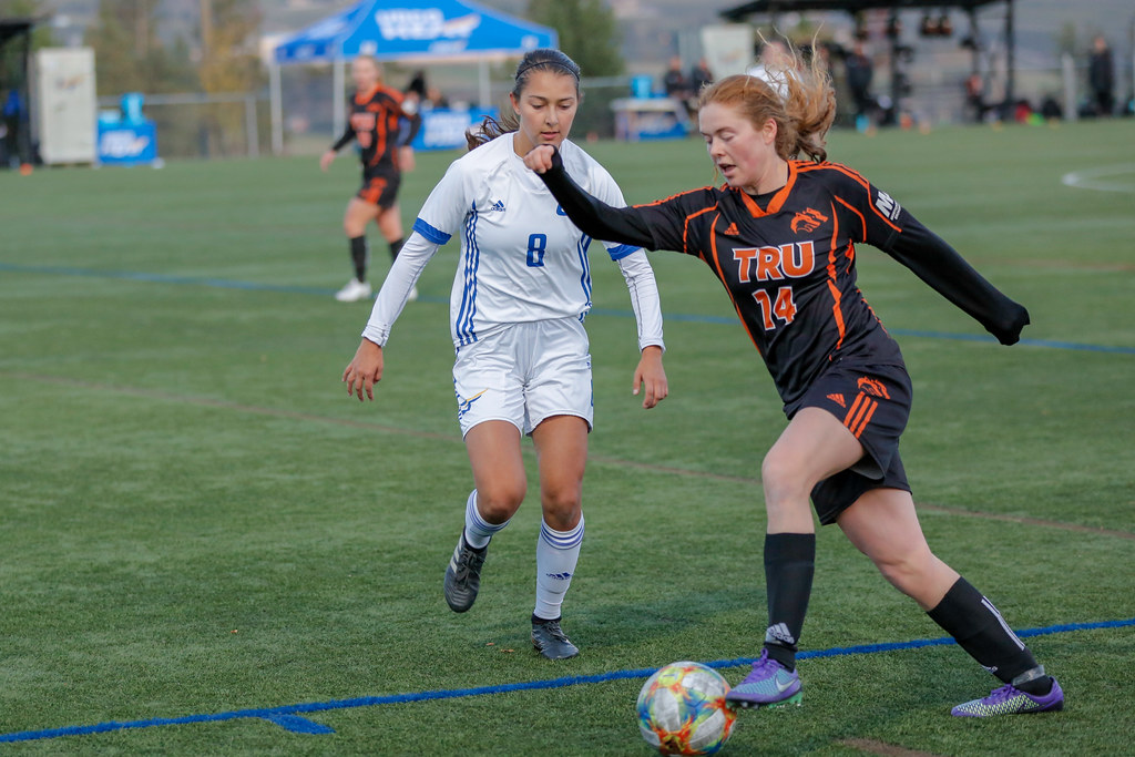 Goaloo Penyedia Livescore Bola Global